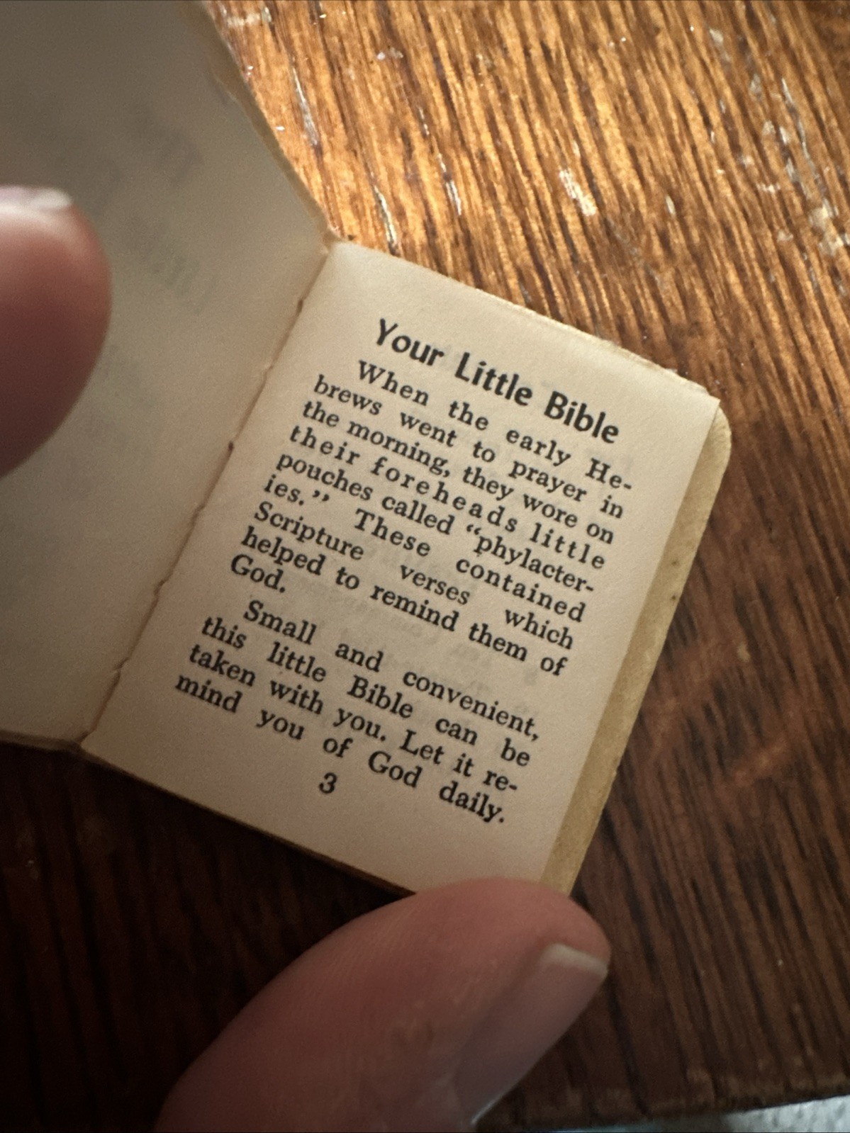 Antique Mini Books Daily Food For Christians, The Little Bible, Christmas Storie
