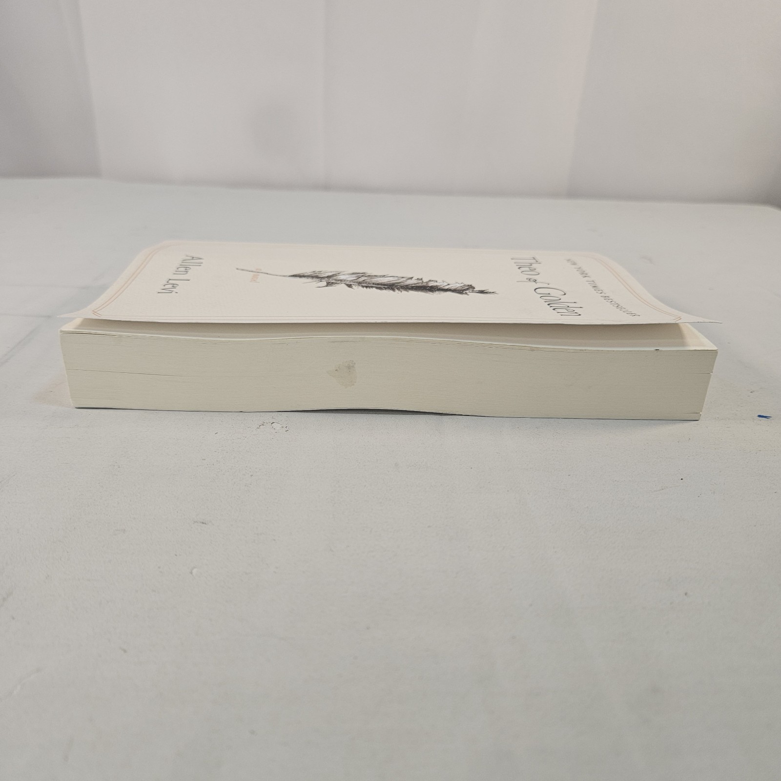 Theo of Golden : A Novel by Allen Levi (2025, Trade Paperback)