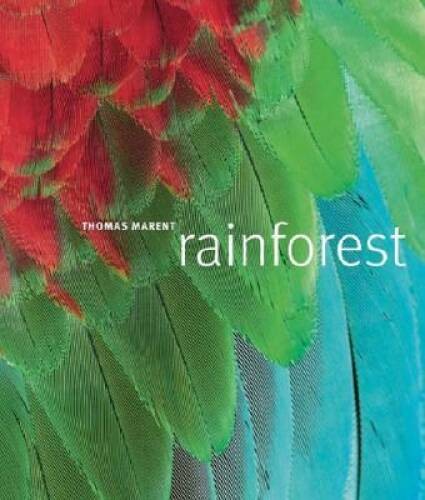 Rainforest – Hardcover By Ben Morgan – GOOD