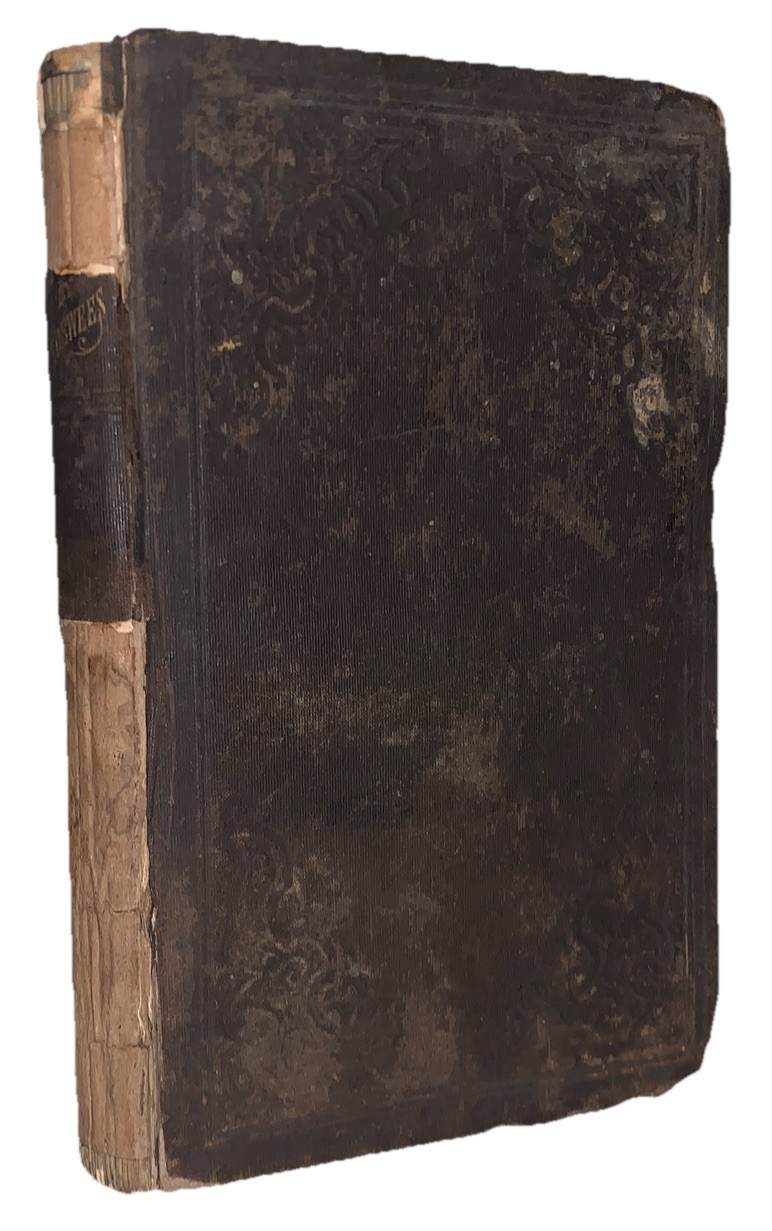 1854, 1st, THE GREAT FUTURE OF AMERICA AND AFRICA, by JACOB DEWEES, SLAVERY