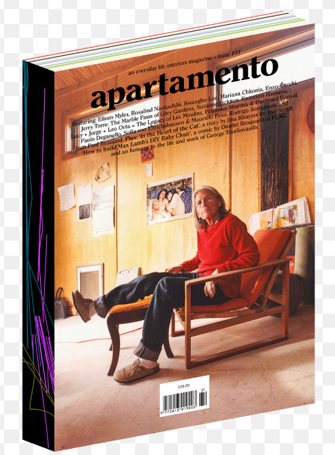 Apartamento magazine issue #37 Featuring: Eileen Myles and others