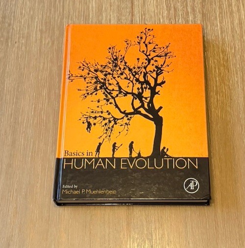 Basics in Human Evolution by Michael P. Muehlenbein 2015 HC