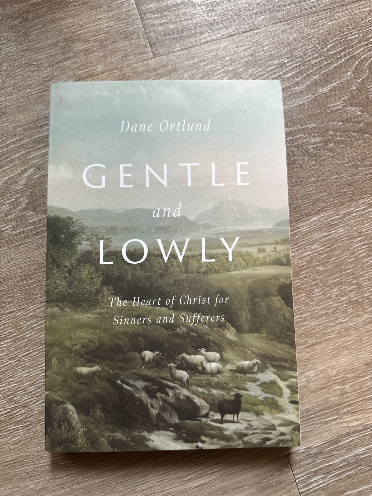 Gentle and Lowly by Dane Ortlund- BRAND NEW