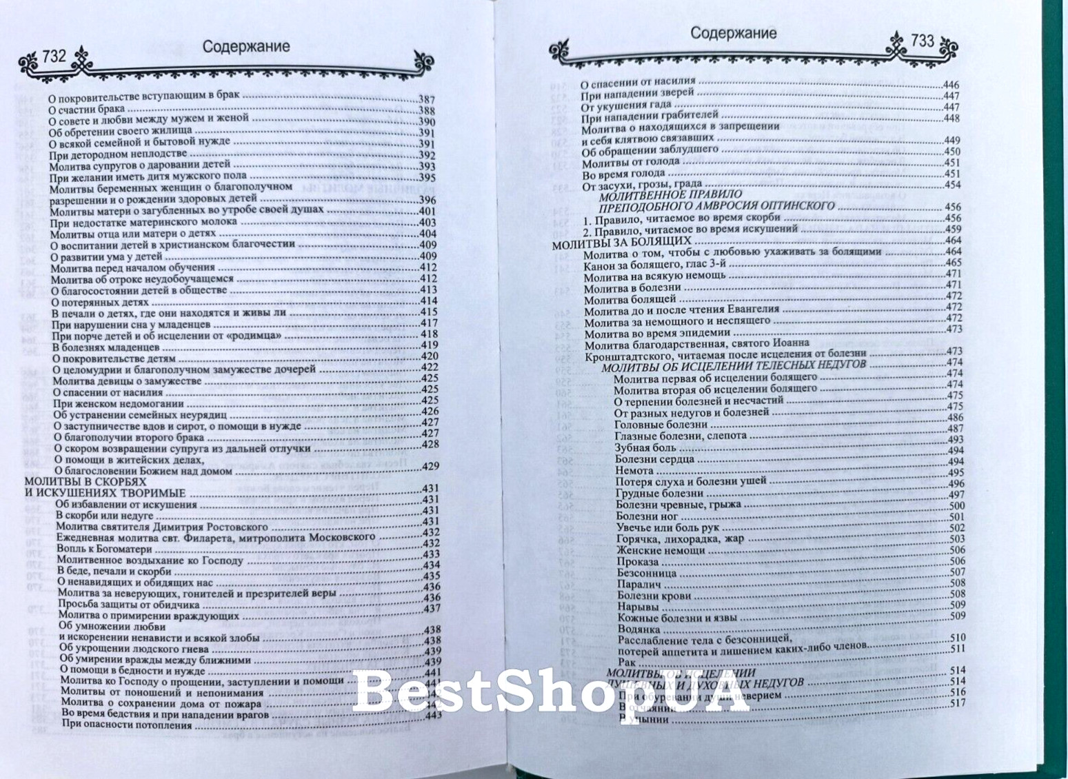 ПОЛНЫЙ ПРАВОСЛАВНЫЙ МОЛИТВОСЛОВ на всякую потребу Russian BIBLE Библия