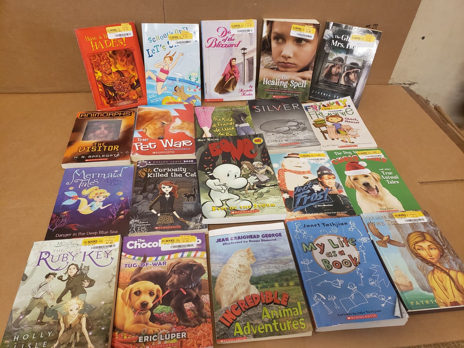 Lot of 10 Chapter ALL SCHOLASTIC Children Young RL 2-6 RANDOM UNSORTED BOOKS MIX