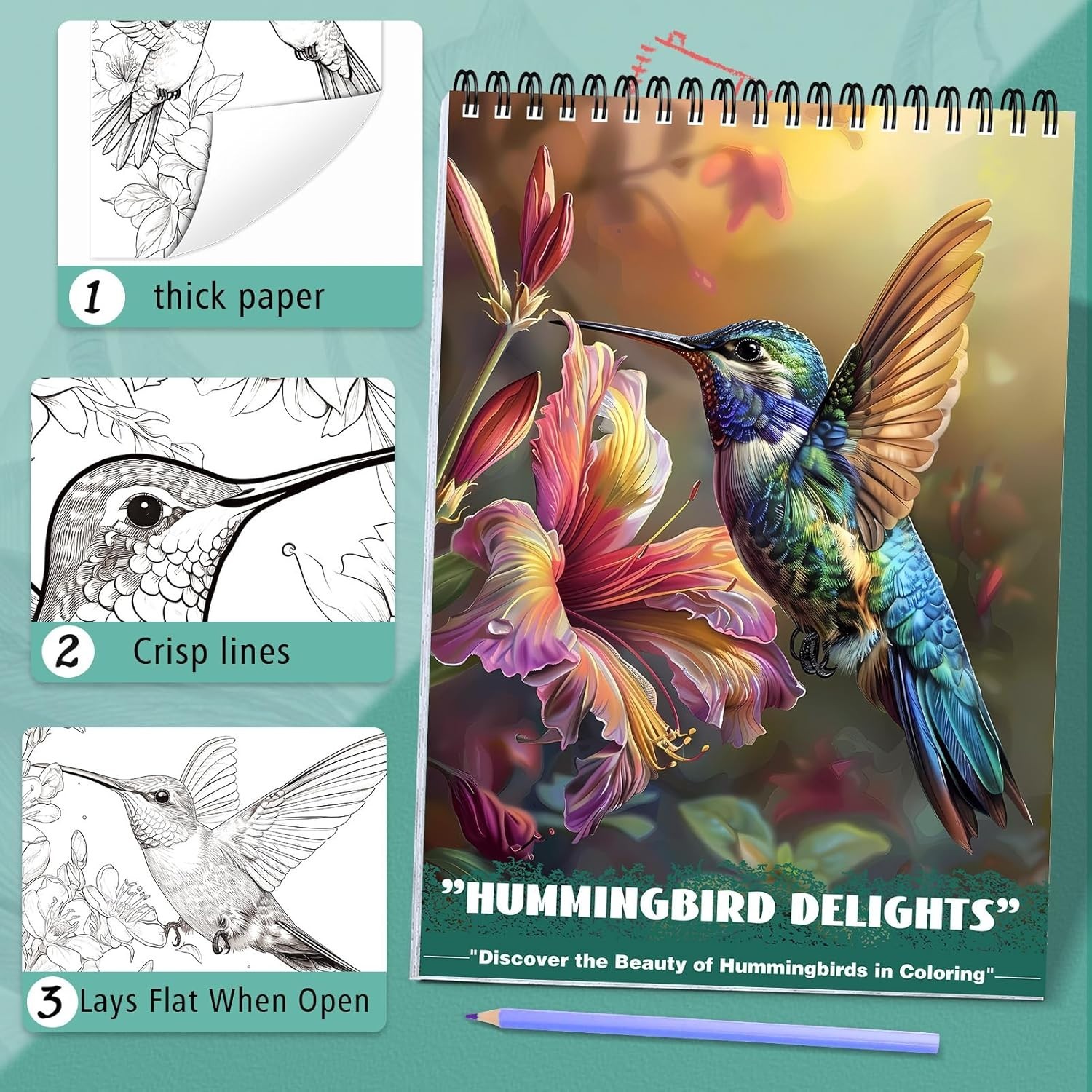 Humming Bird Adult Coloring Book Spiral Bound Mindfulness Adult Coloring Book fo