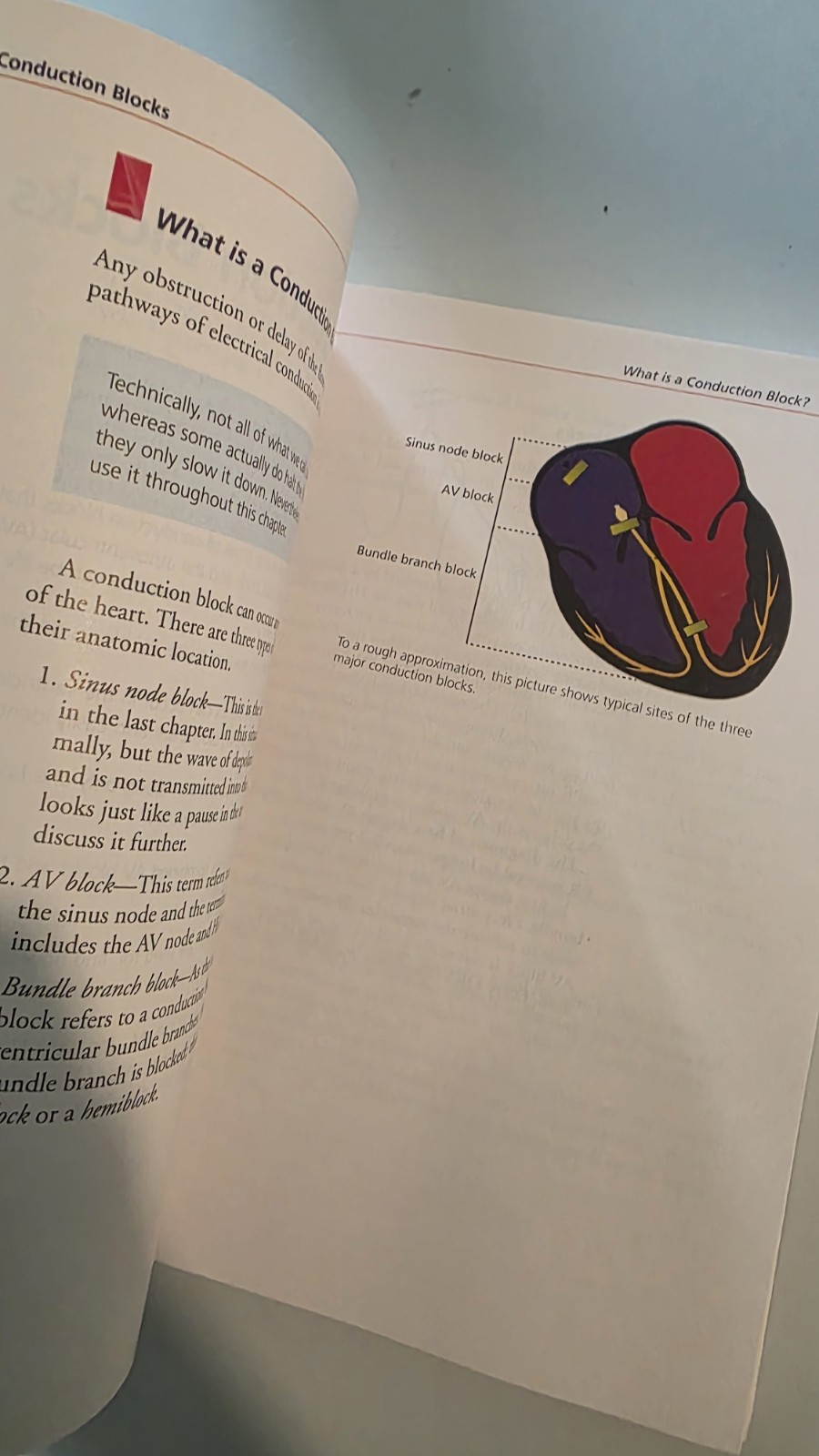 The Only EKG Book You&rsquo;ll Ever Need Ninth Edition