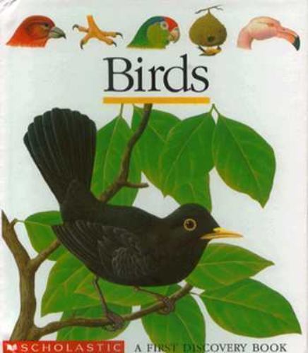 Birds First Discovery Books by Delafosse, Claude; Scholastic, Inc.