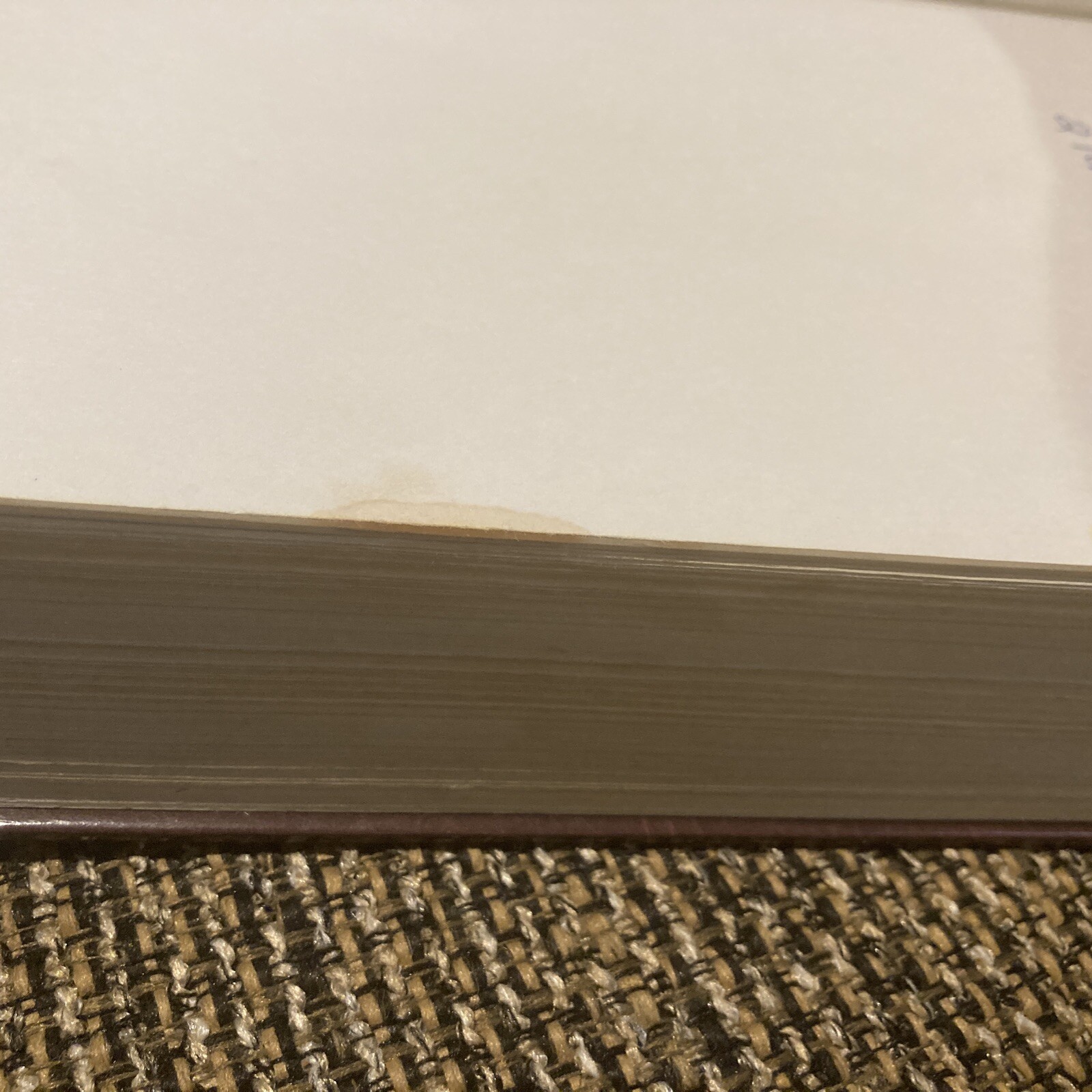 Prophecy Marked Reference Study Bible by Grant R. Jeffrey (Hardcover)