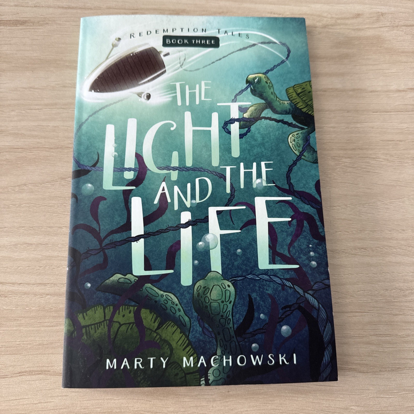 Light and the Life by Marty Machowski and Blair Files (2025, Trade Paperback)