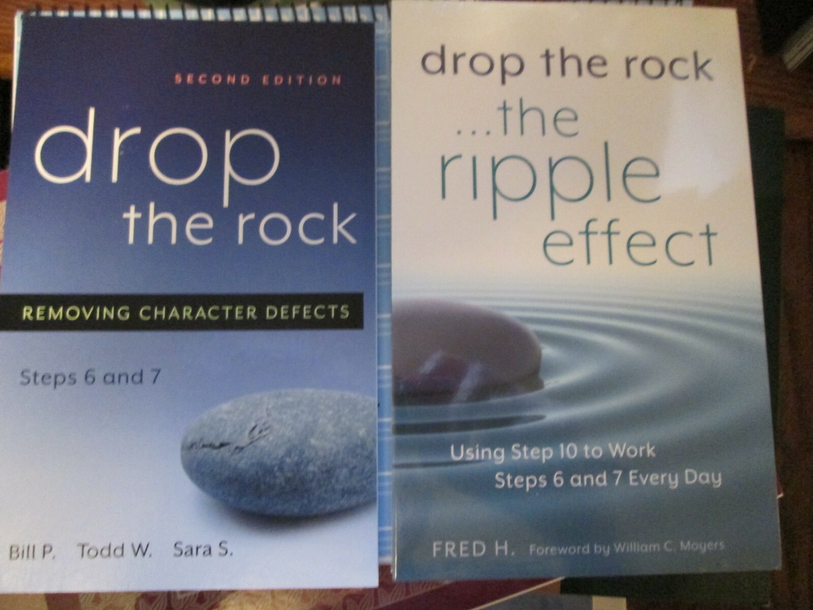 NA Narcotics Anonymous Dictionary Set « It Works + Basic Test »