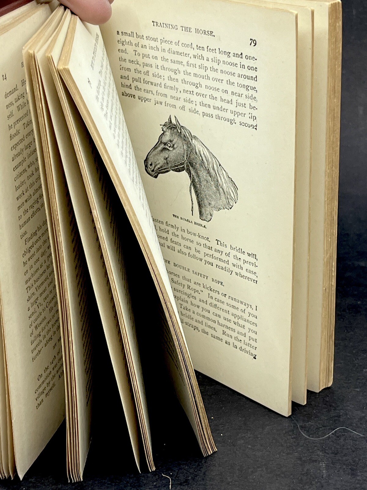 1918 HOW to HANDLE & EDUCATE VICIOUS HORSES-205 Pages-Oscar Gleason-Illustrated