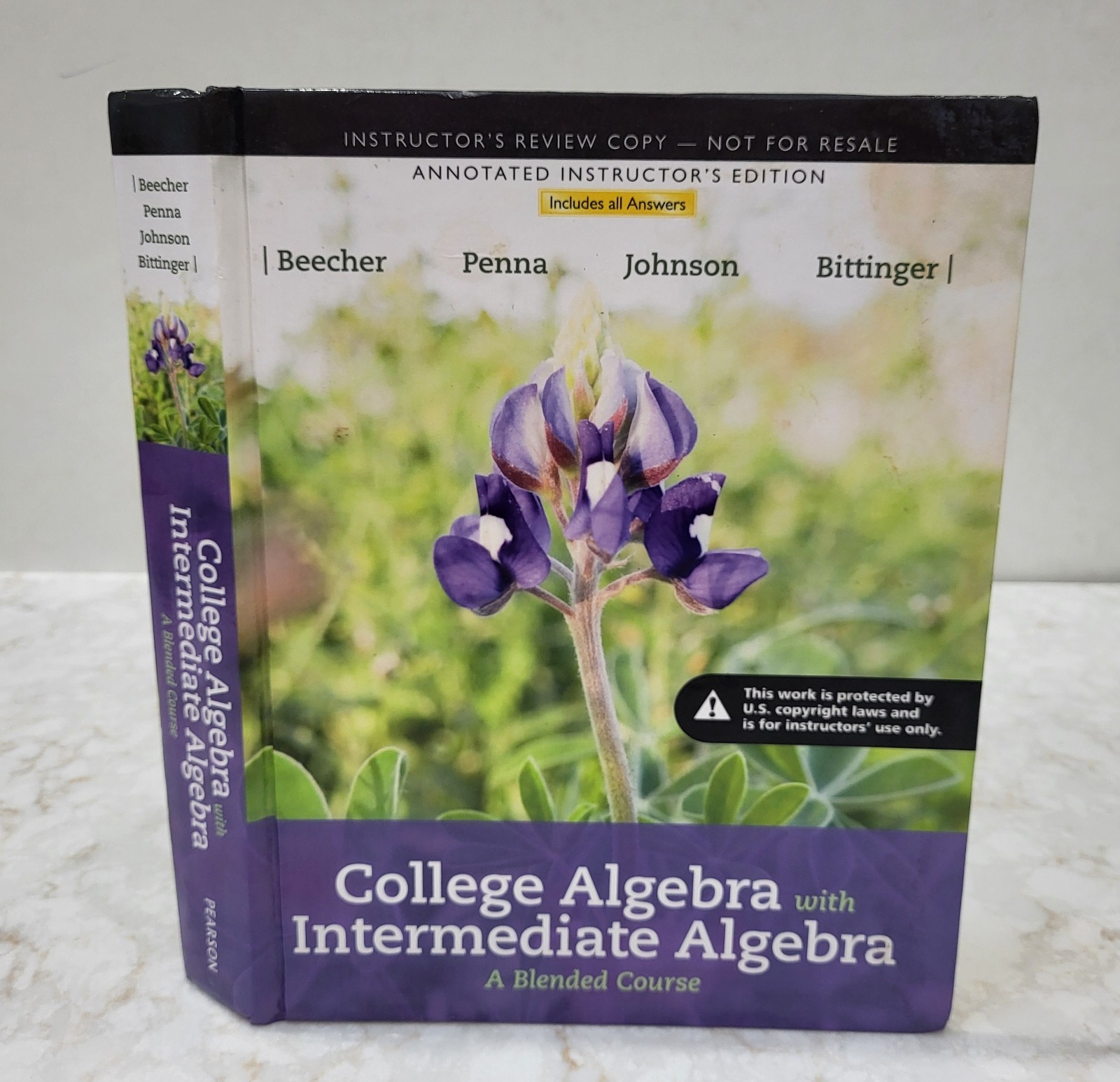 College Algebra with Intermediate Algebra A Blended Course INSTRUCTOR&rsquo;S ED.