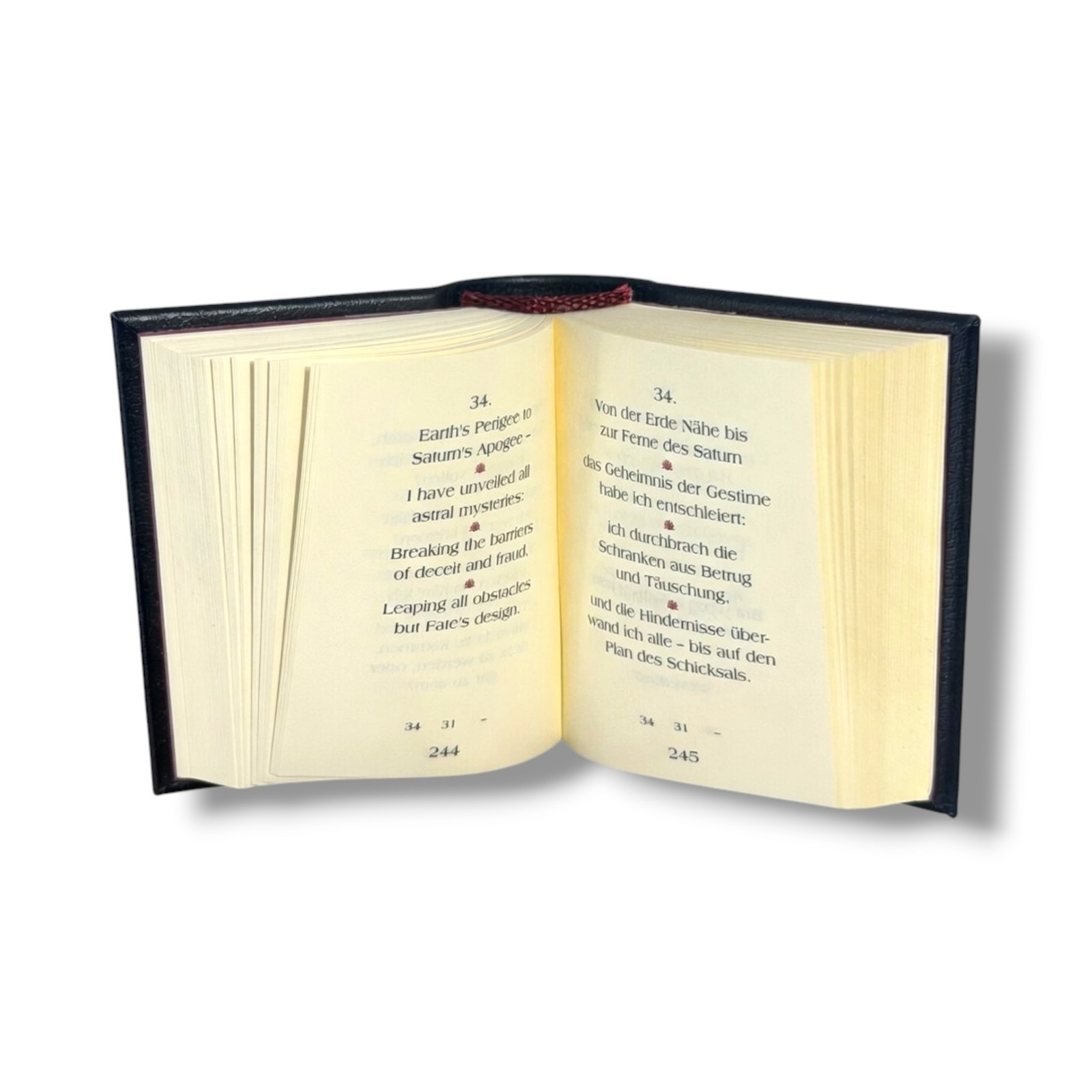 Rubaiyyat Omar Khayyam Leather Minibook English German Bilingual Poetry 480pages
