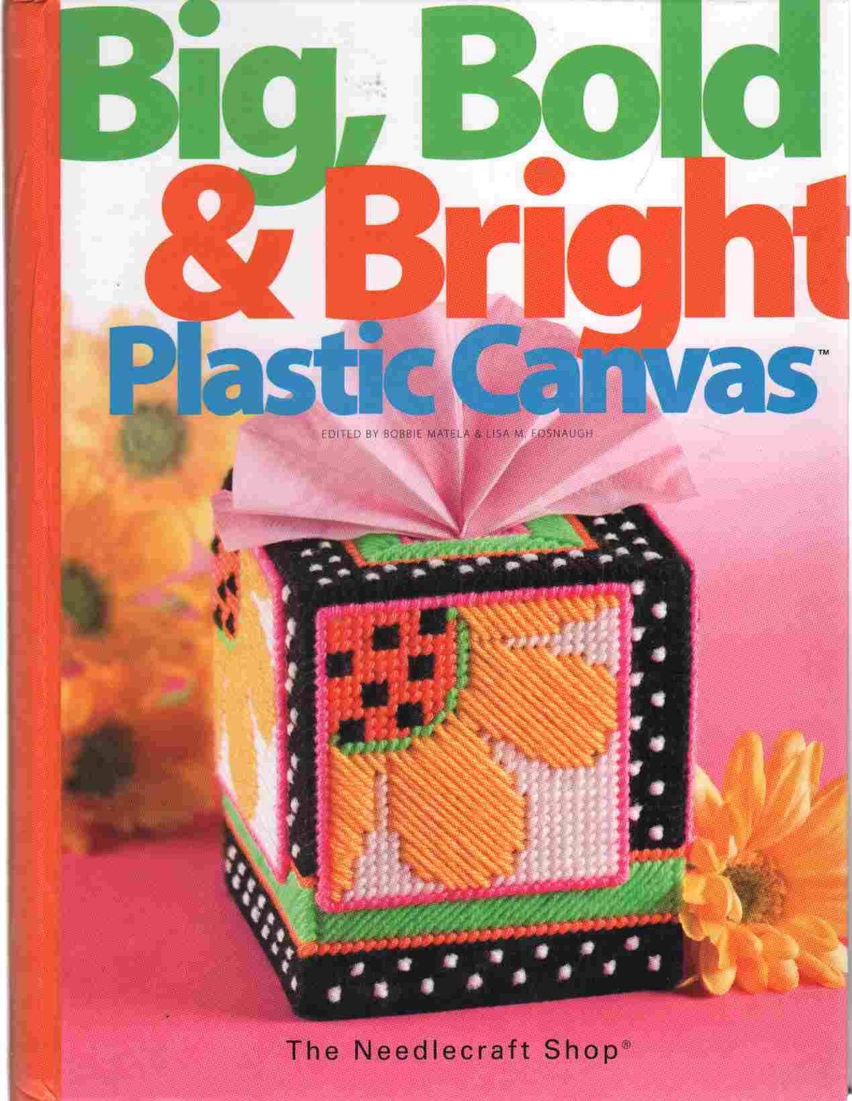 Big, Bold & Bright Plastic Canvas – hardcover Matela, Bobbie|Fosnaugh, Lisa