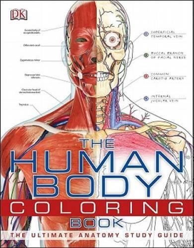 The Human Body Coloring Book – Paperback By DK Publishing – GOOD