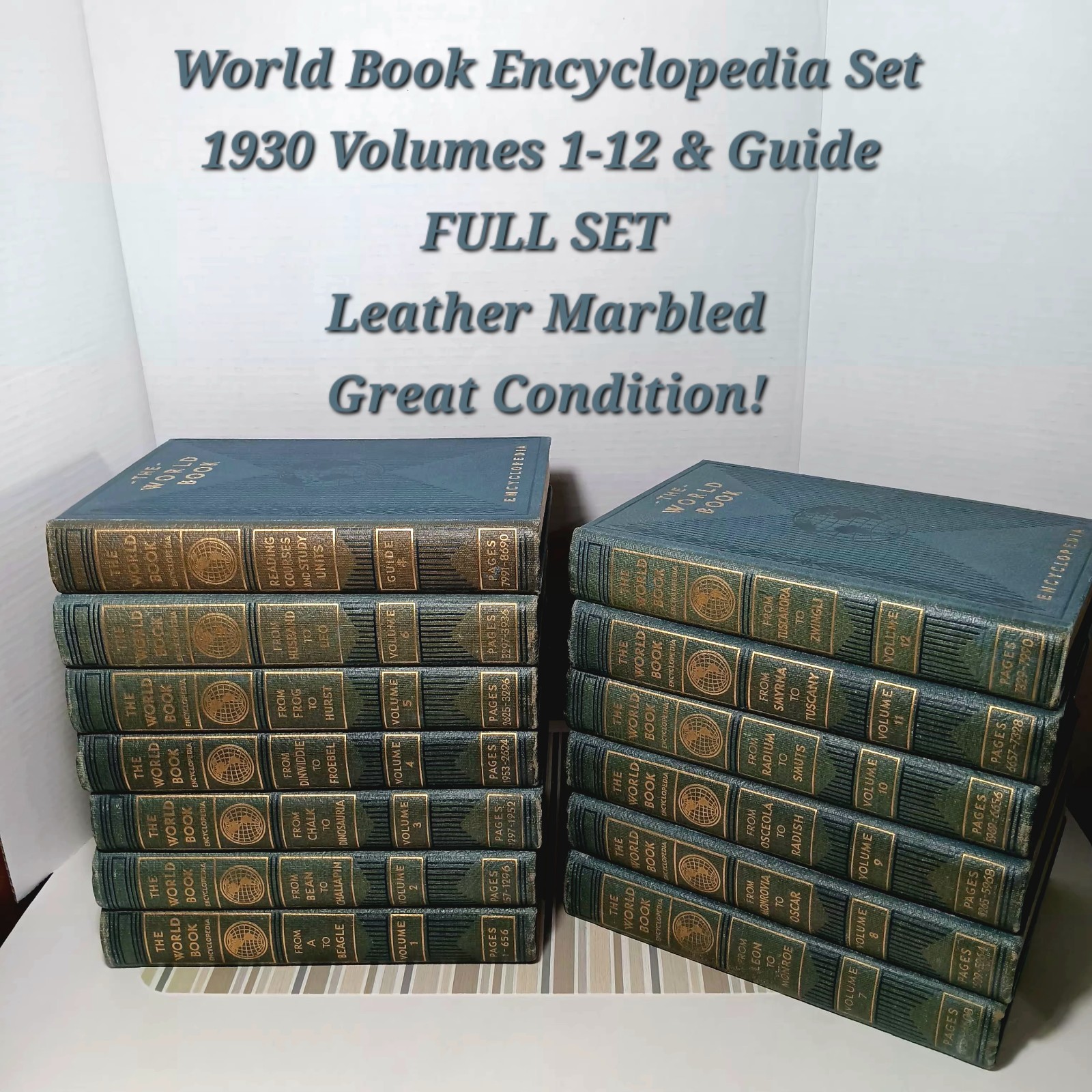 Antique 1930 World Book Encyclopedia Set Volumes 1-12 & Guide Leather Marbled
