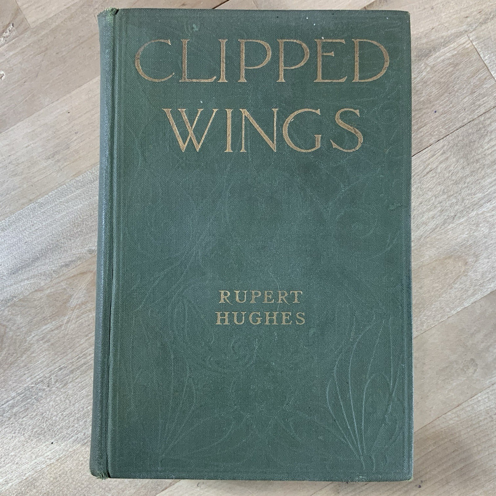 Clipped Wings The Barge of Dreams by Rupert Hughes (Vintage 1916 Hardcover Book)