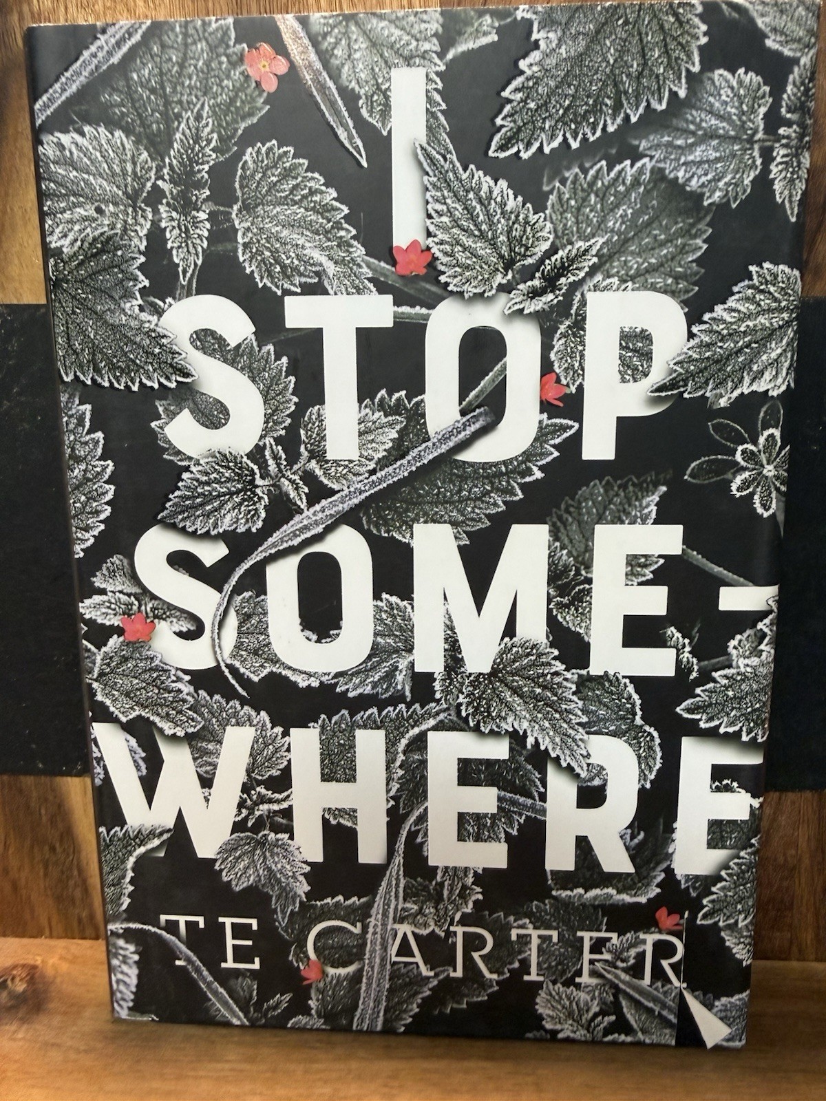 I Stop Somewhere by T. E. Carter (2018, Hardcover) Pub by Feiwel and Friends