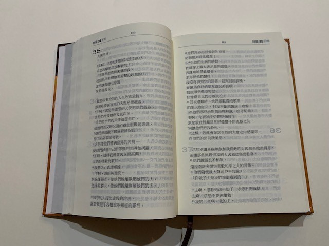The Holy Bible: A Dynamic Chinese Translation; 簡明聖經