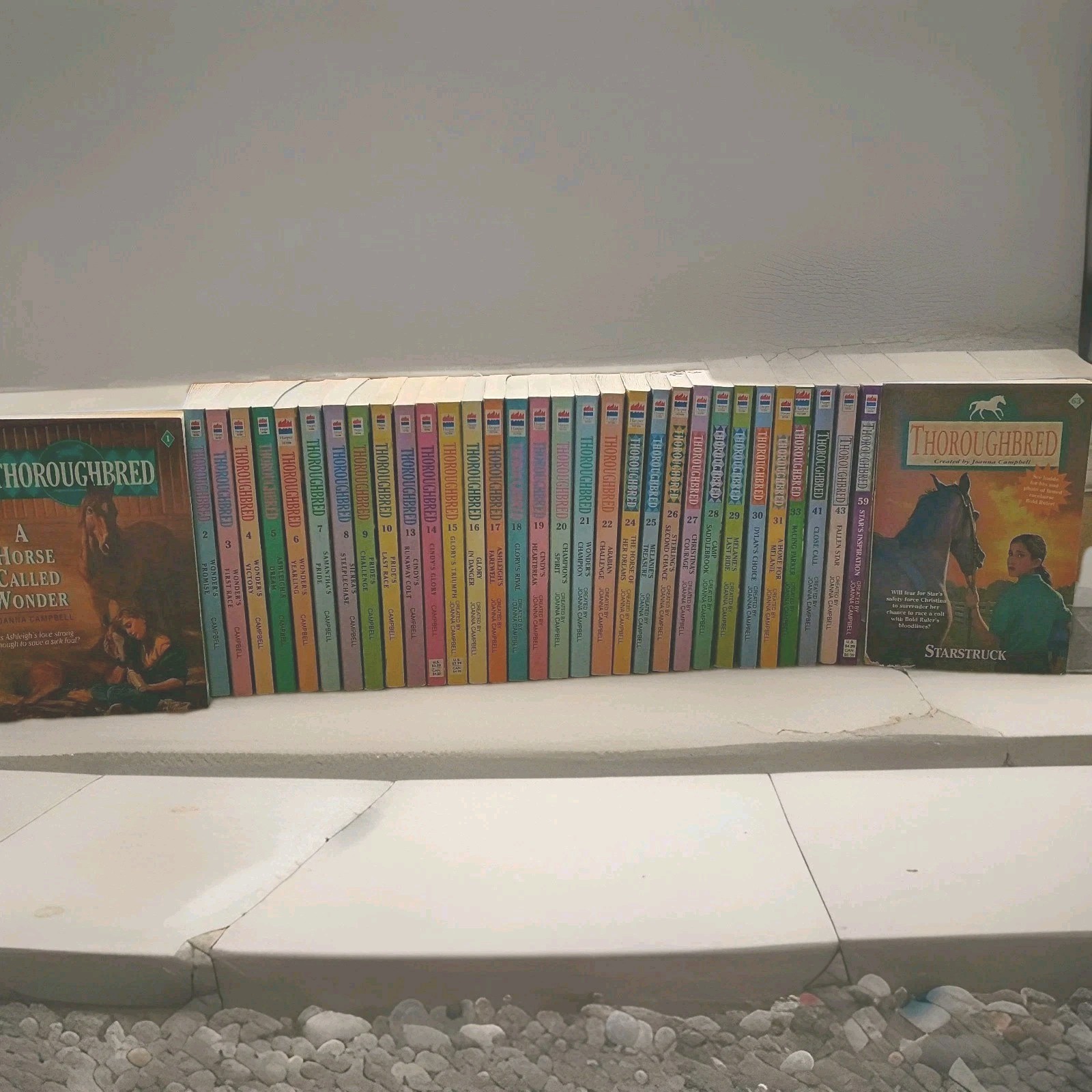 Lot of 33 Thoroughbred Books Series by Joanna Campbell Vintage 1990&rsquo;s OOP