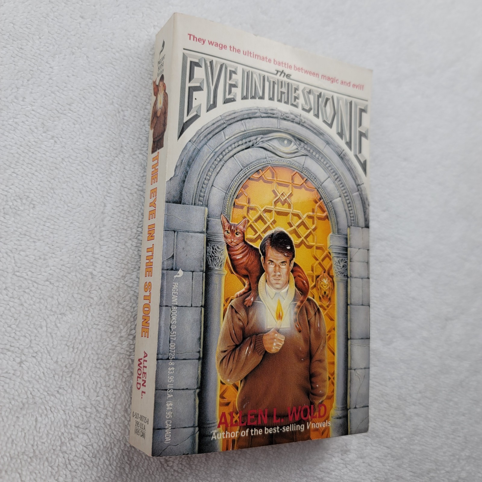 The Eye in the Stone Allen L. Wold 1988 Paperback