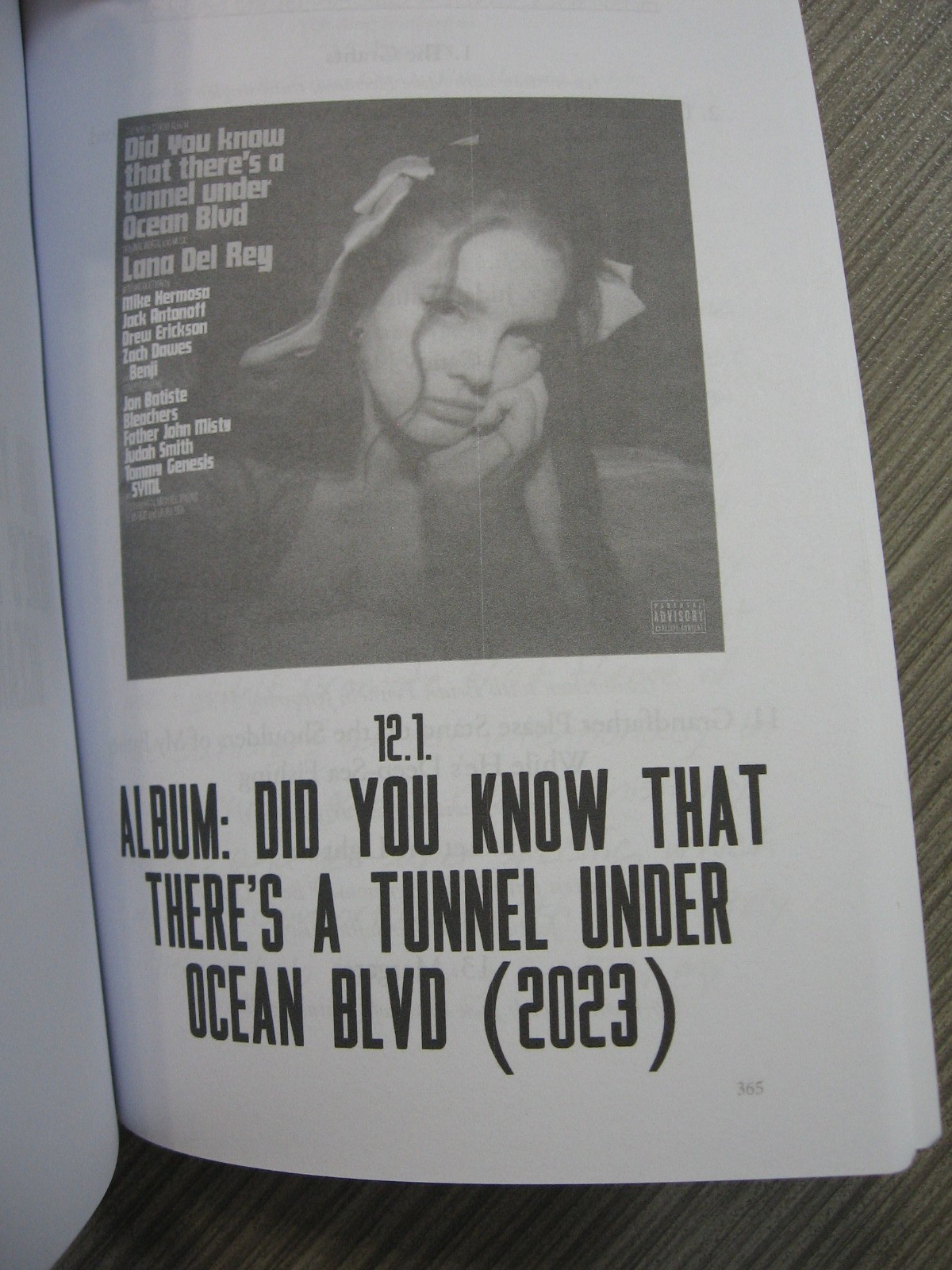 LANA DEL REY – F&rsquo;ED MY WAY TO THE TOP BIOGRAPHY – RARE OOP PAPERBACK – 2024