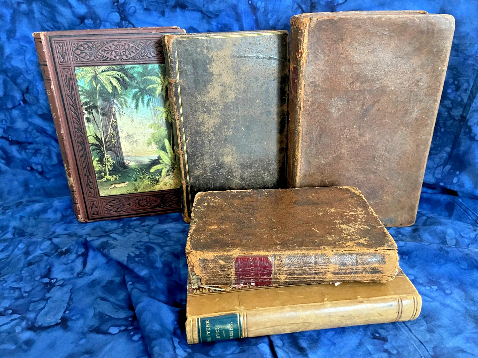 Tiny Antique Books; Miscellany, Plant World, Spectator, Columbian Orator #B46
