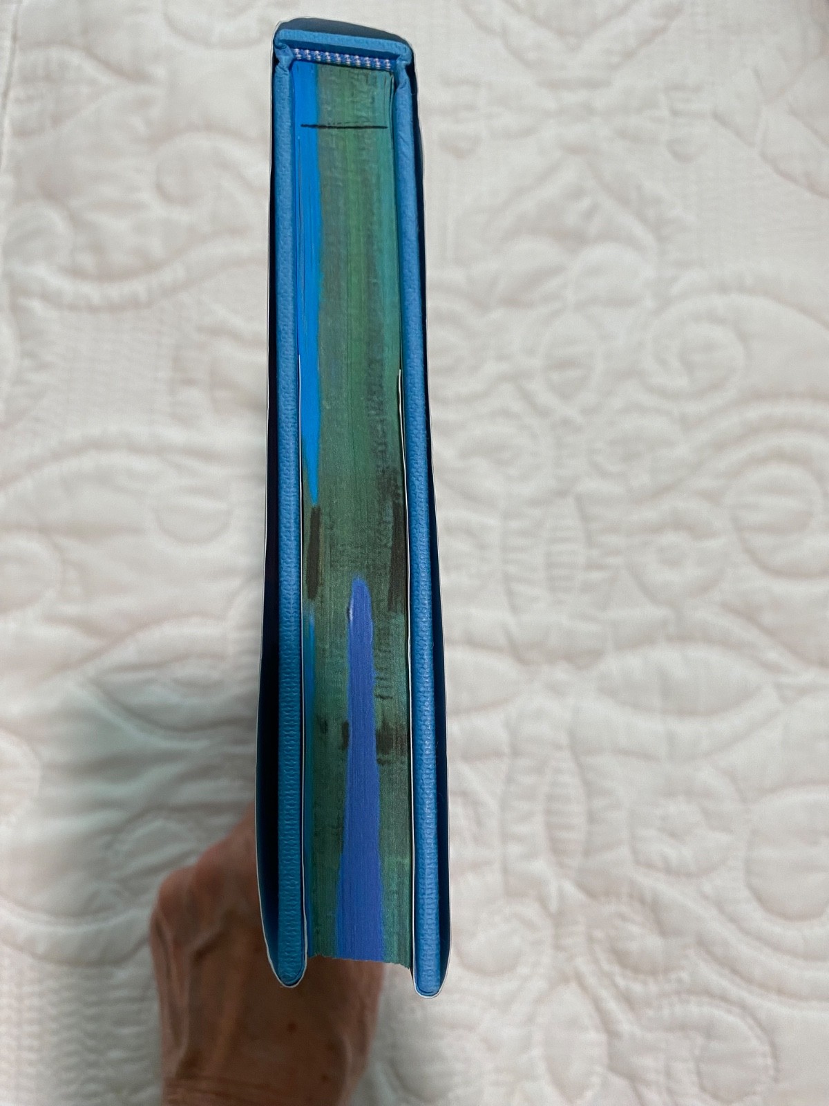 SPRAYED EDGE book – « Every Summer After » by Carley Fortune