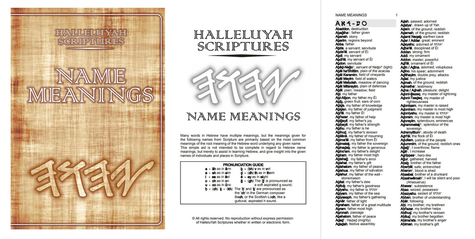 HalleluYah Scriptures Parallel Hebrew/English Bible & Extra Books