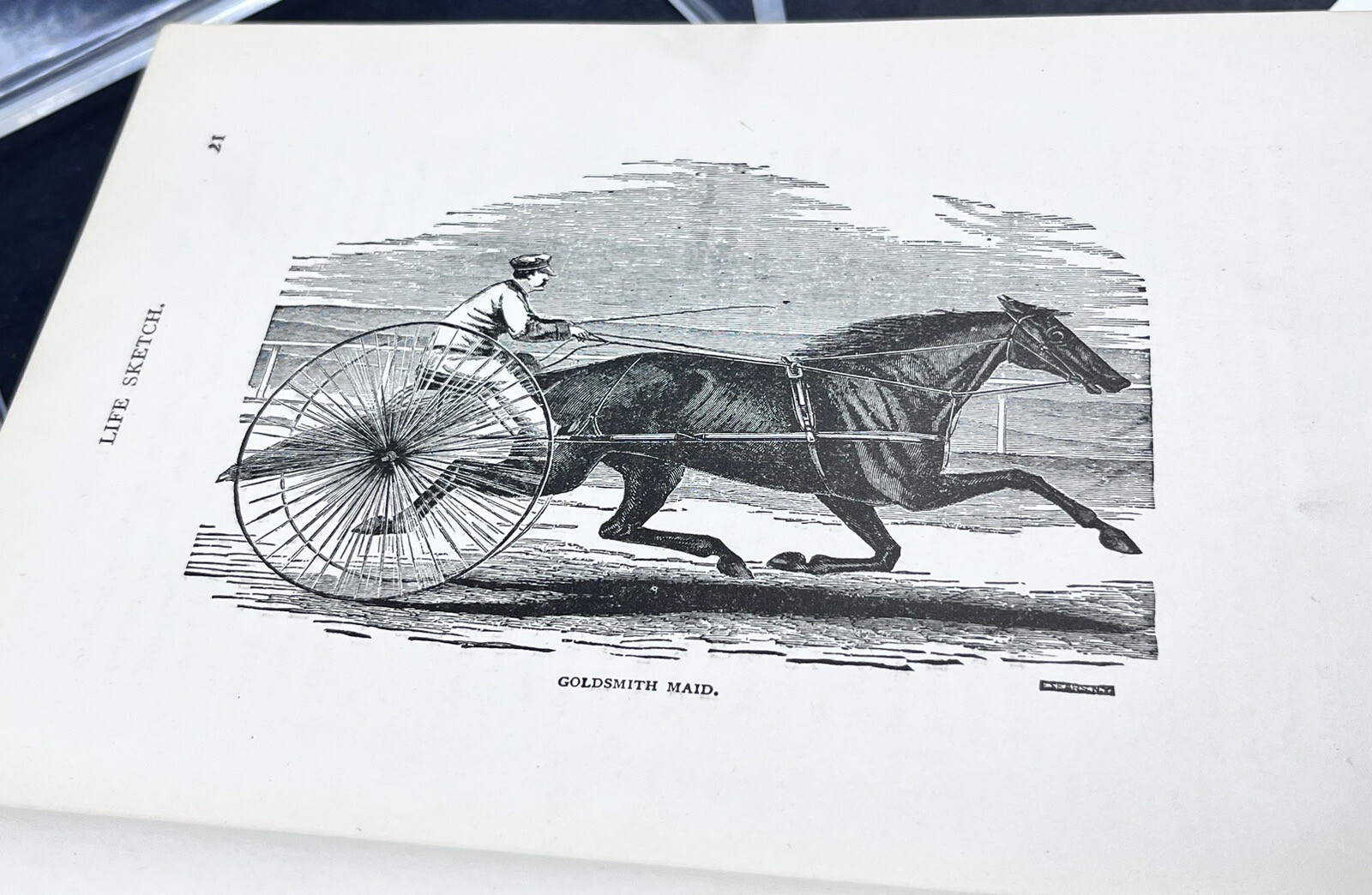 1918 HOW to HANDLE & EDUCATE VICIOUS HORSES-205 Pages-Oscar Gleason-Illustrated