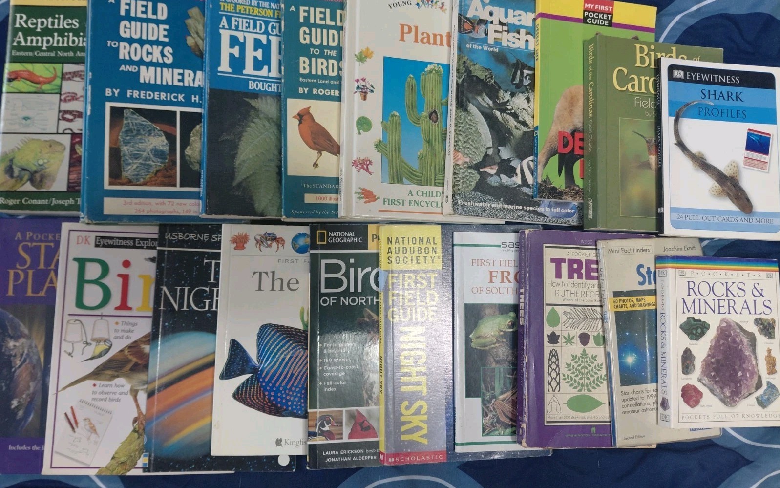 Lot Of Vintage Field Guides Petrerson Kingfisher Usborne DK Eyewitness Exploerer