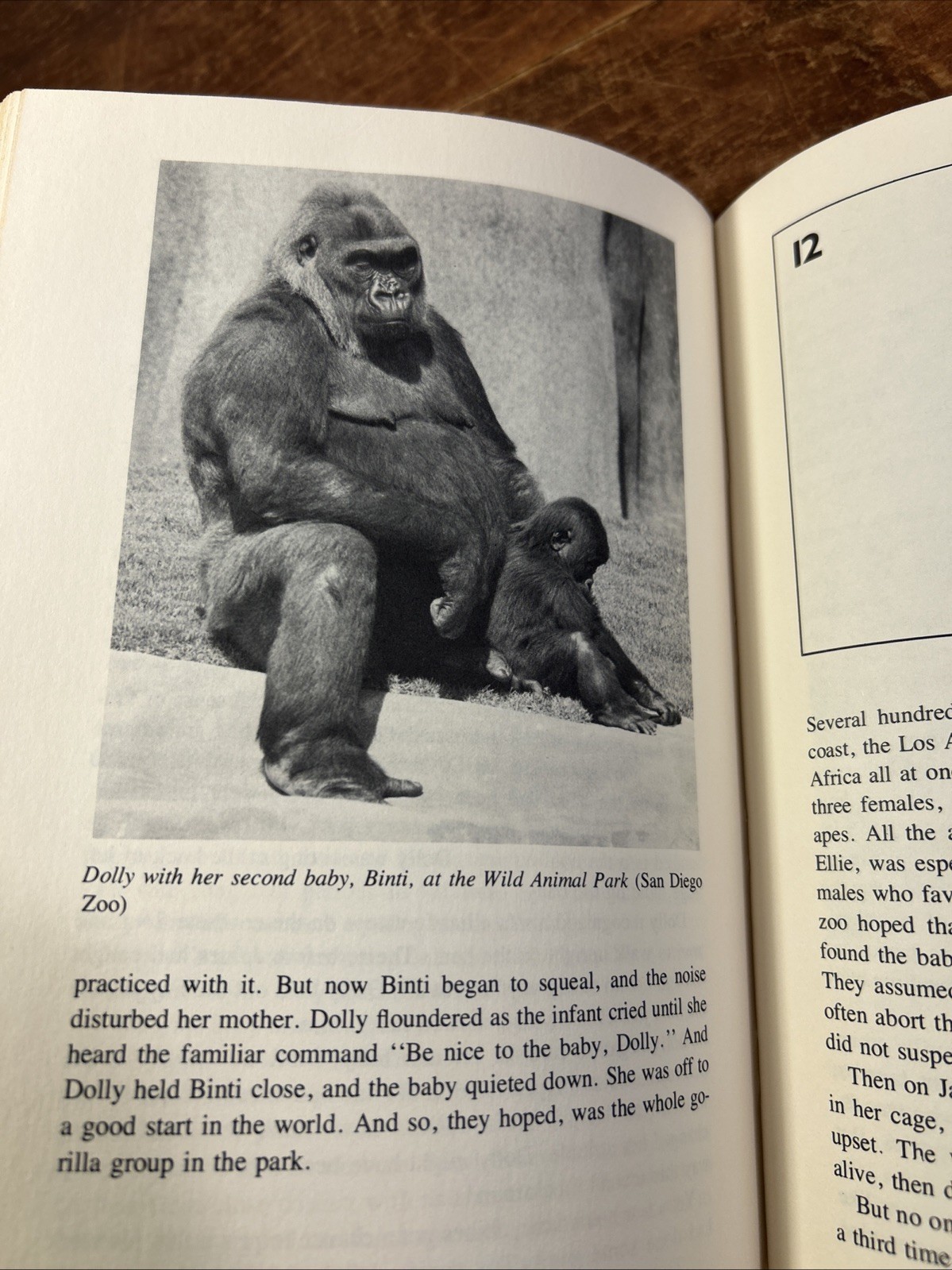 Thinking Gorillas Testing Teaching by Bettyann Kevles HCDJ 1980 – 1st edition