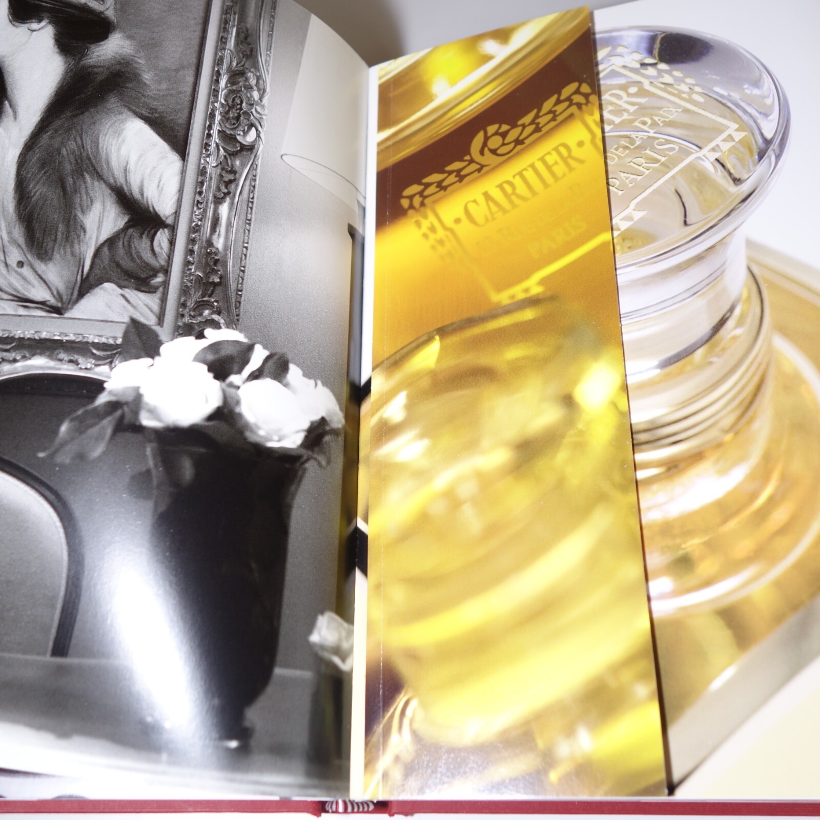 Cartier 2008 Hardcover Book by Francois Chaille w/ Sleeve Box, Sz 9.5 in x 6 in