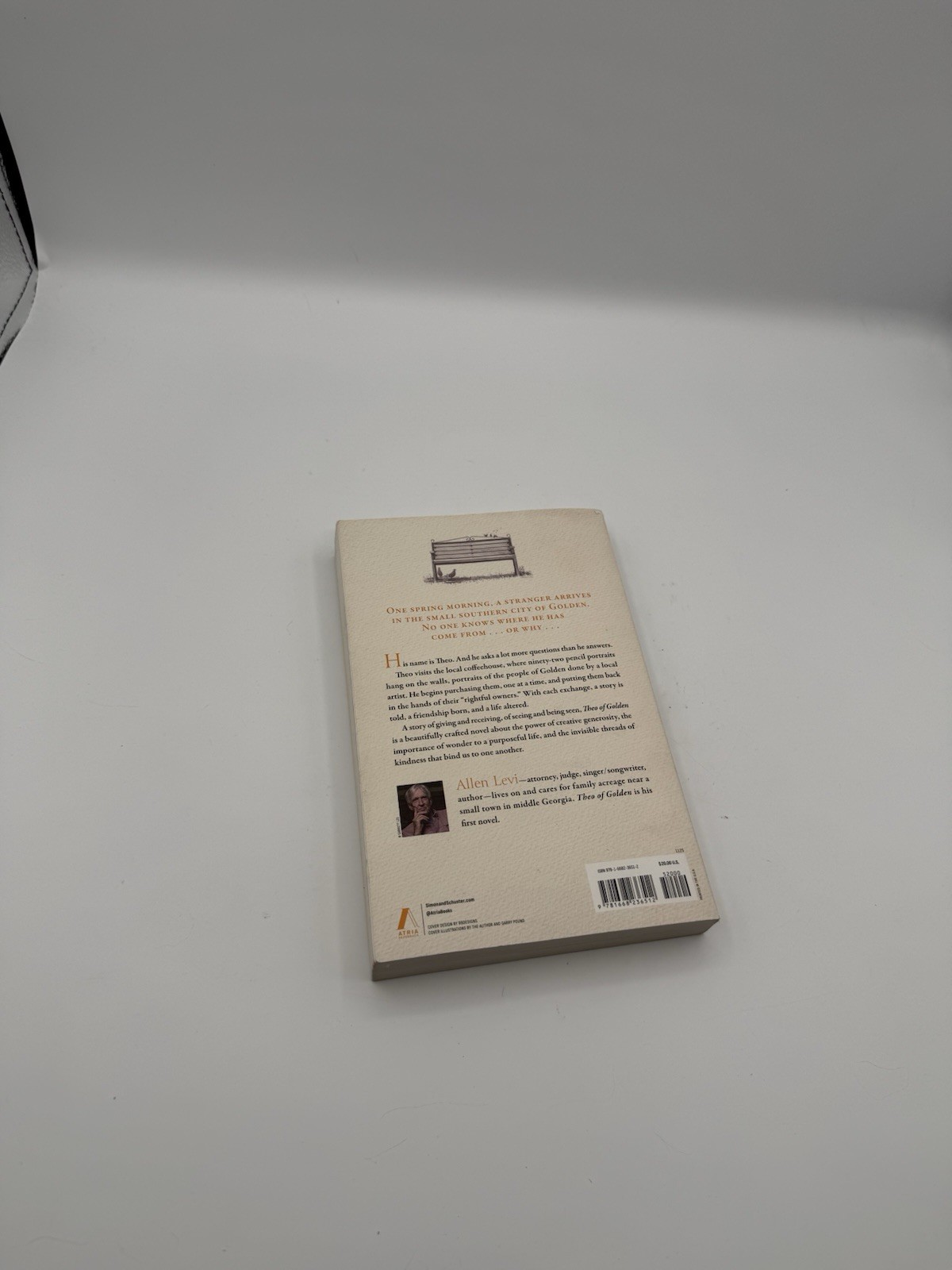 Theo of Golden : A Novel by Allen Levi (Paperback, English, Literary Fiction)