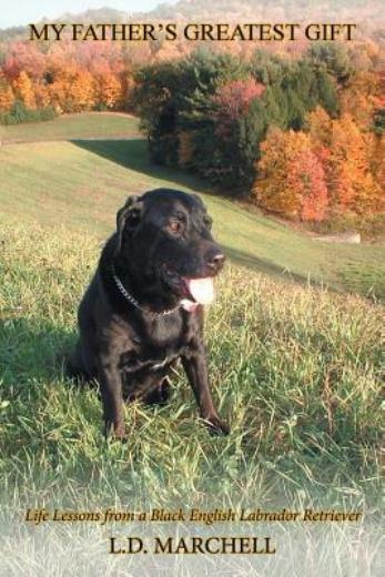 My Father&rsquo;s Greatest Gift: Life Lessons From A Black English Labrador Retri…
