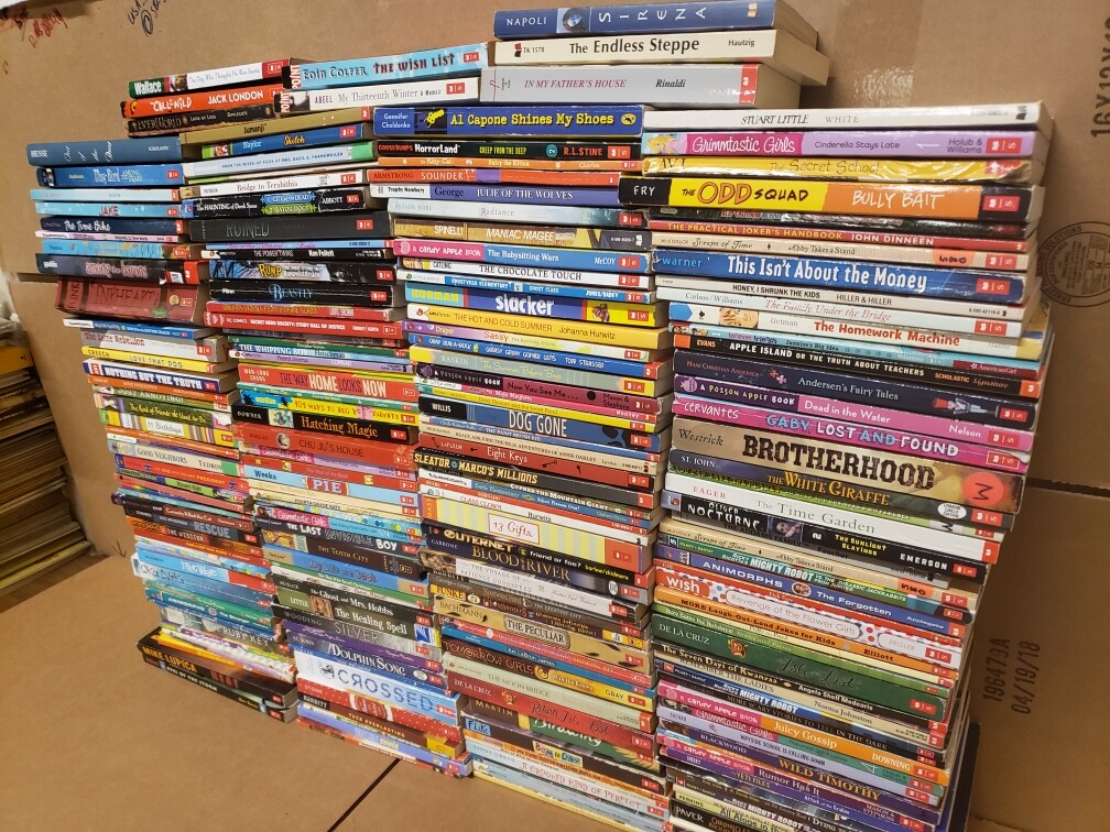 Books by Genre 10 LBS~Pounds Lot Sorted Fiction/Nonfiction CHOOSE YOUR CATEGORY