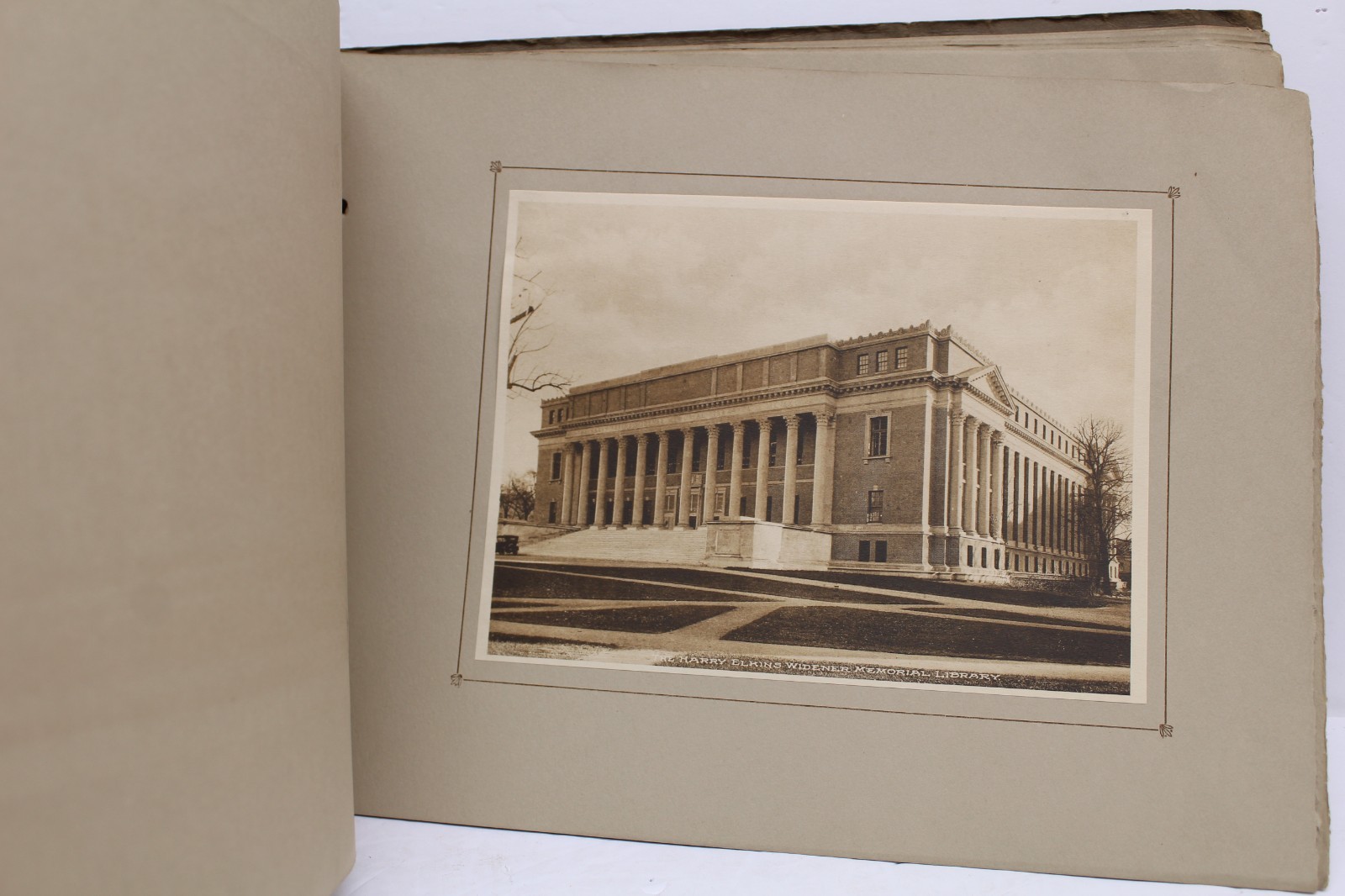 Antique Harvard University Albertype Souvenir Photo Book 25-6&Prime;x8&Prime; pictures