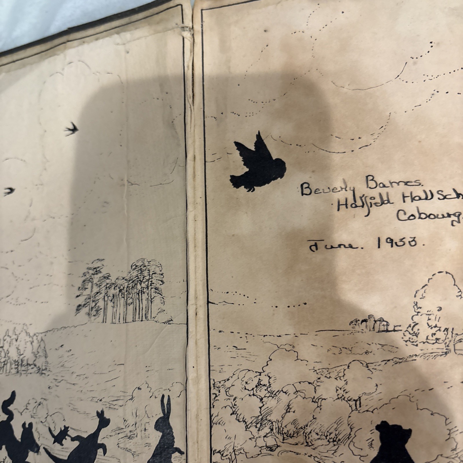 The House at Pooh Corner, A.A.Milne,1928 Deluxe TRUE Stated First Edition Winnie