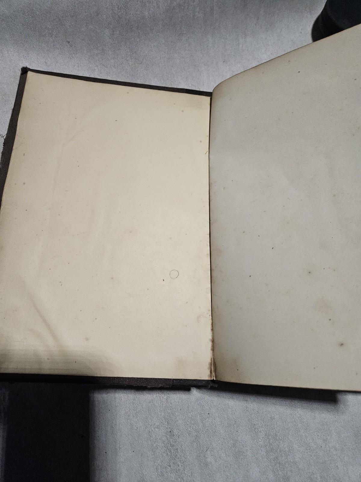 Special Pathology and Diagnostics, with Therapeutic Hints by C. G. Raue 1874