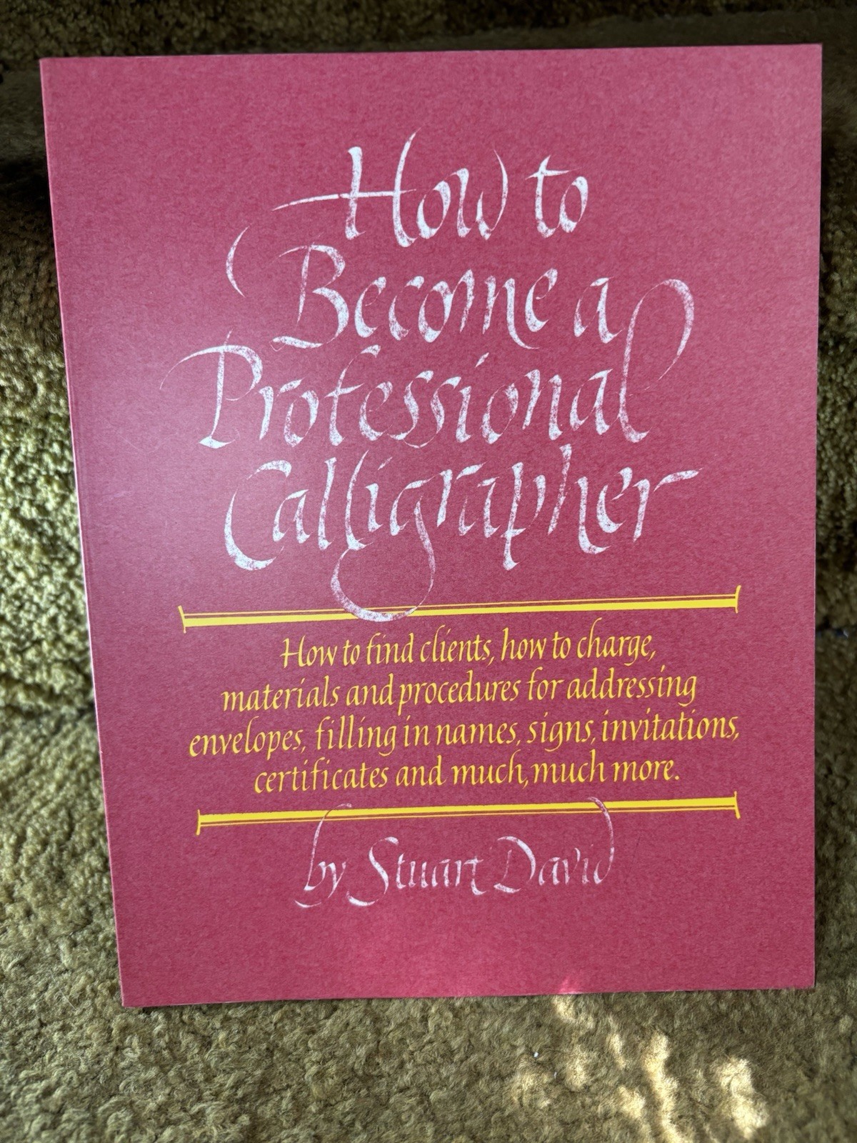 How To Become A Professional Calligrapher Softcover Book Crafts Hobbies