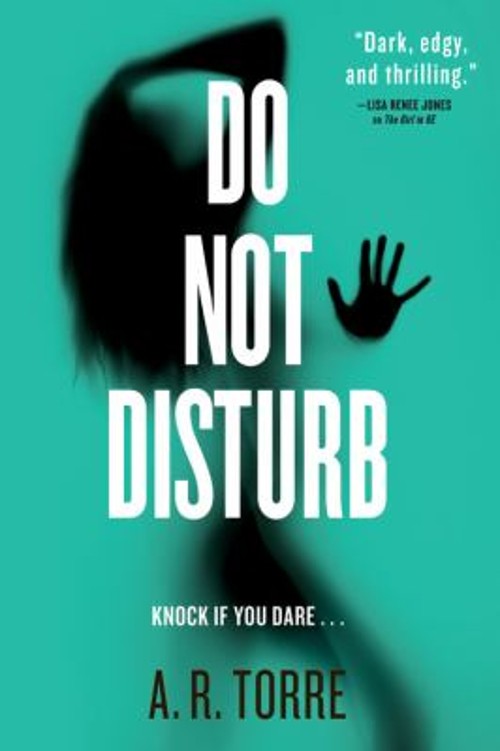 Do Not Disturb Paperback A. R. Torre