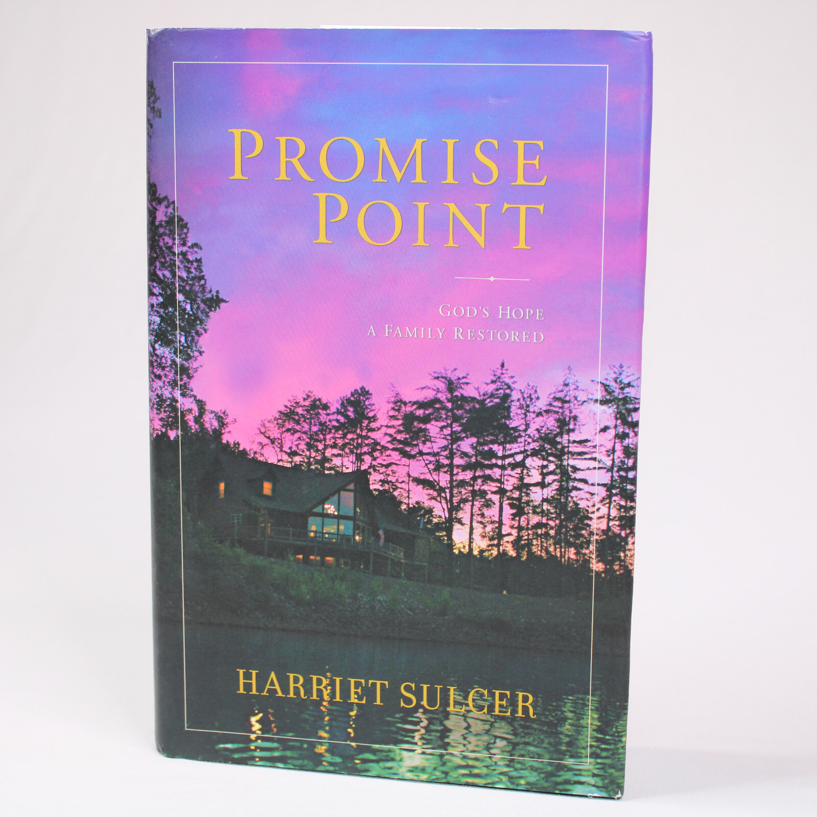 SIGNED Promise Point By Harriet Sulcer Hardcover Book With Dust Jacket VG 2015