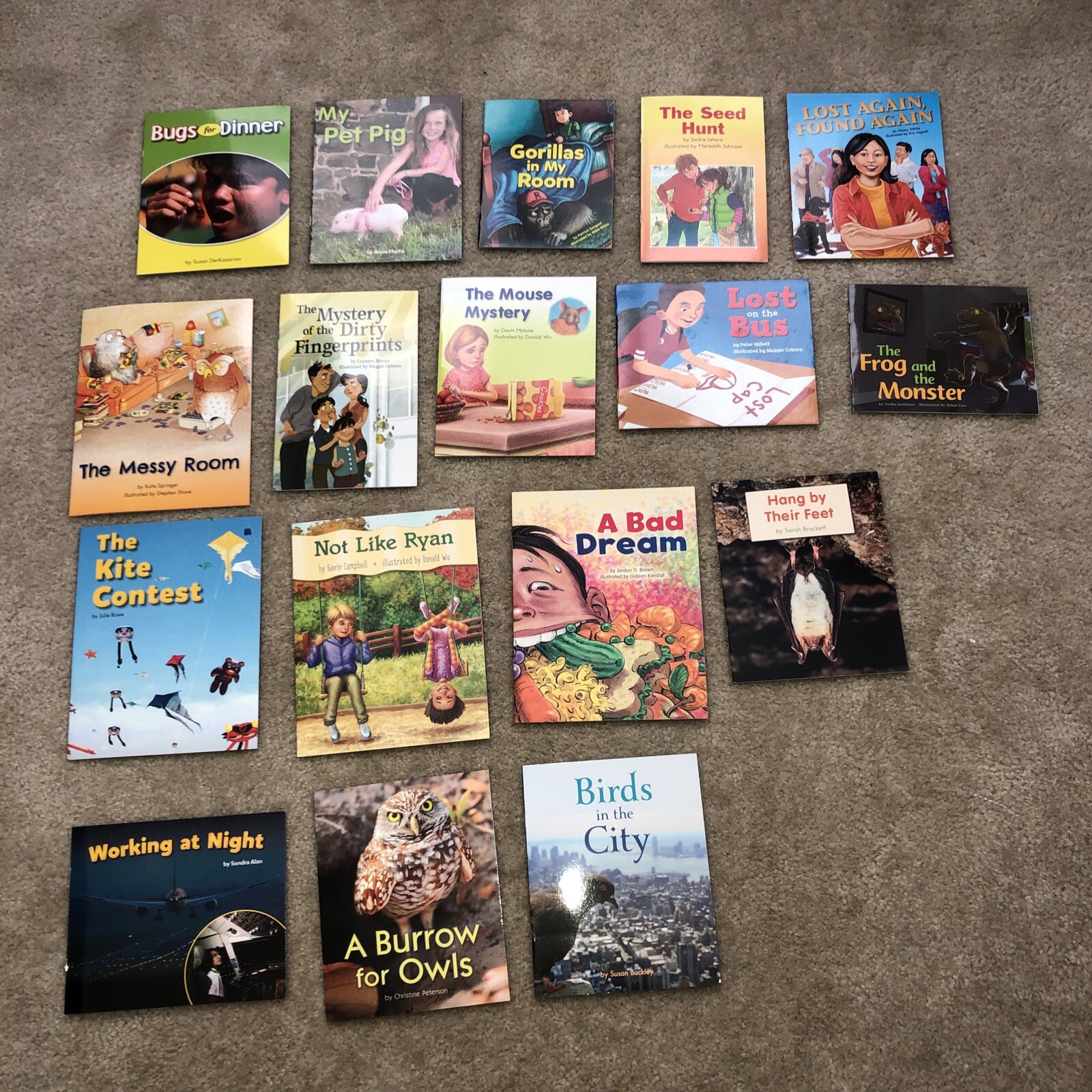 Fountal & Pinnell LITERACY Books — HOME SCHOOL — Grade 1 Reading Level H