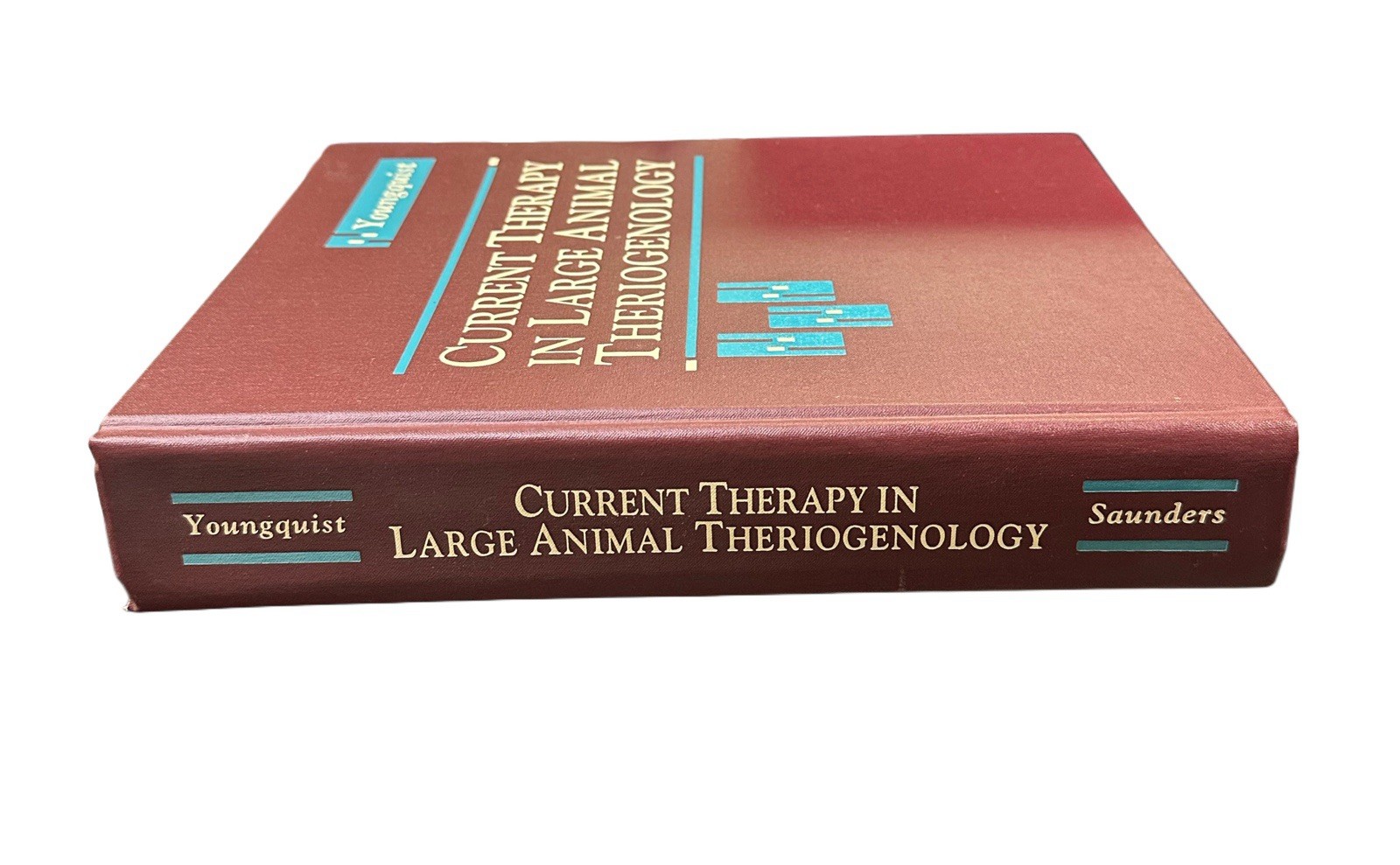 Current Therapy in Large Animal Theriogenology by Youngquist, Robert S.