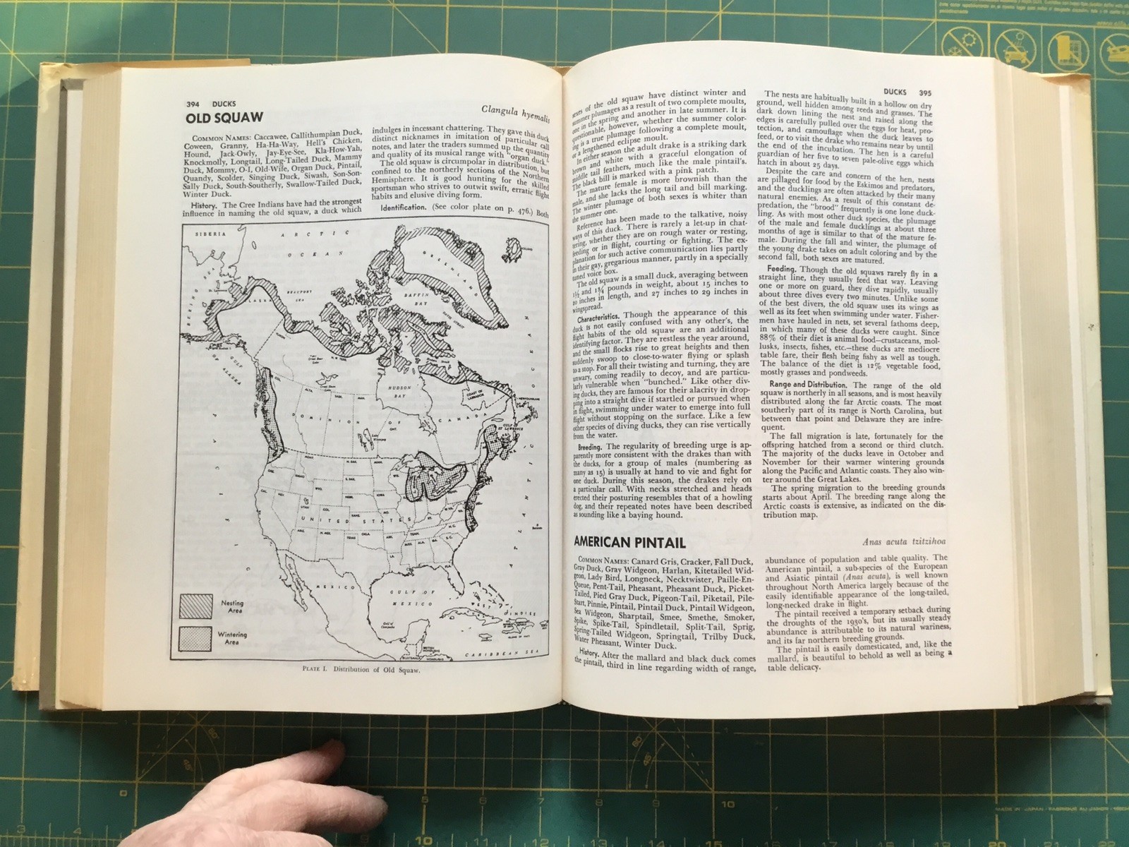 1972 THE NEW HUNTER&rsquo;S ENCYCLOPEDIA, 1054Page Book, Many Pictures, 3rd printing