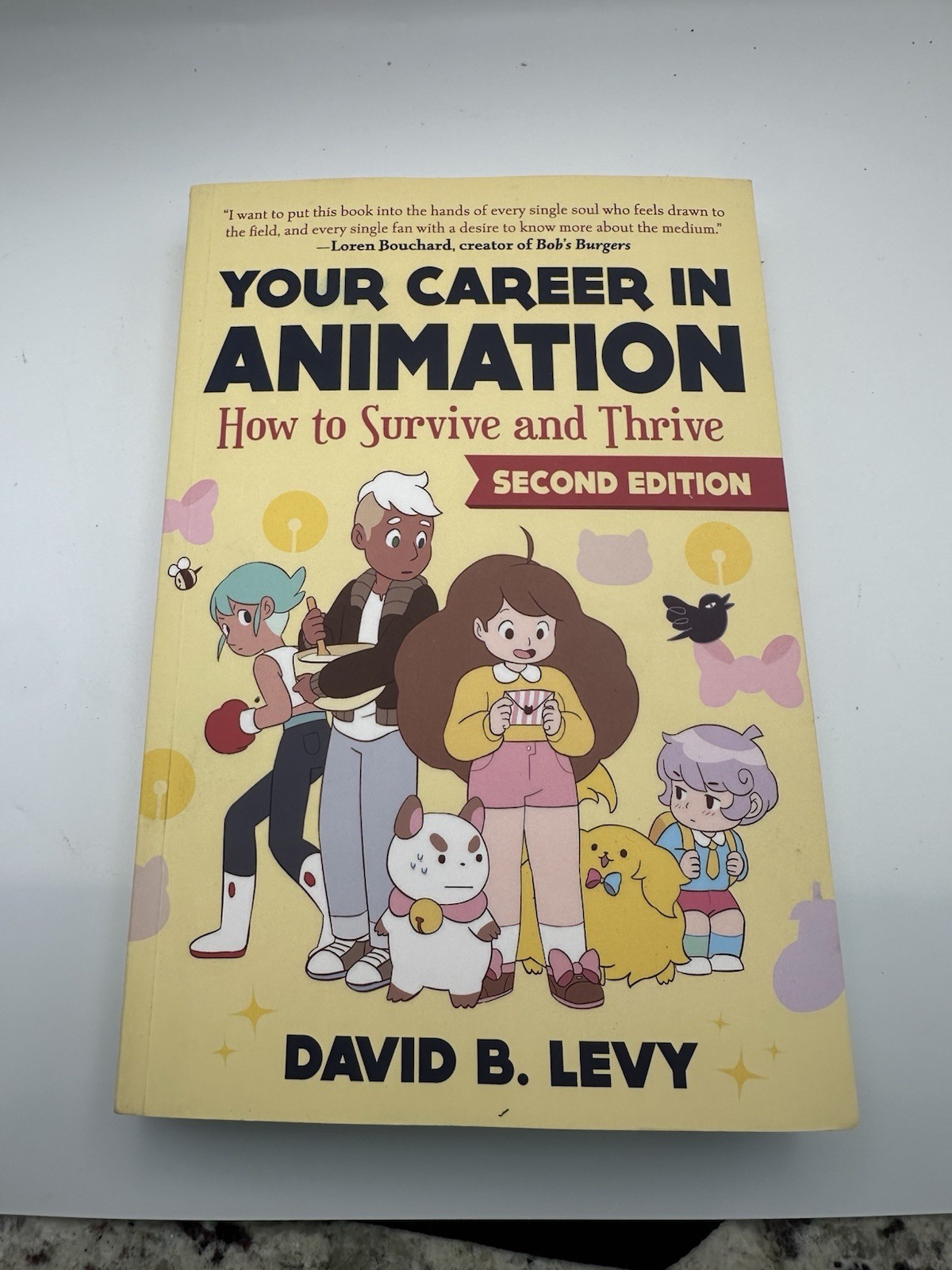 Your Career in Animation (2nd Edition): How to Survive and Thrive by Levy, Davi