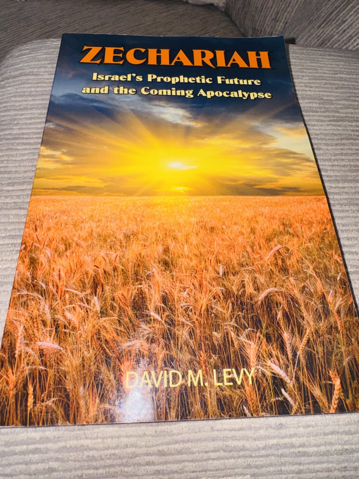 Zechariah: Israel&rsquo;s Prophetic Future & the Coming Apocalypse ~ David M Levy VG!