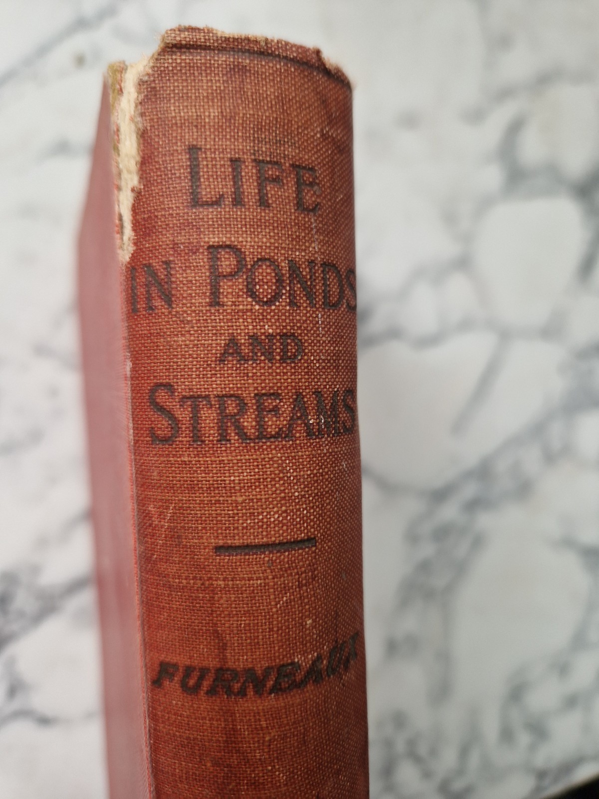 (1919) Life in Ponds and Streams W Furneaux Illustrated frogs snails molluscs