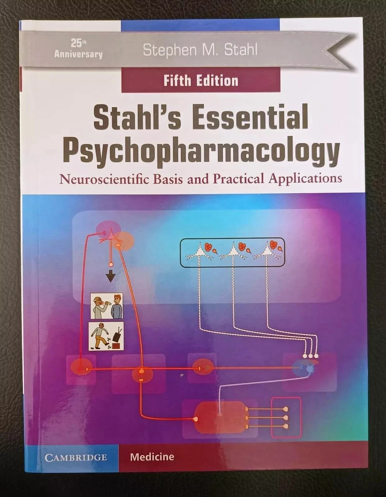 Stahl&rsquo;s Essential Psychopharmacology Neuroscientific Basis Practical Application